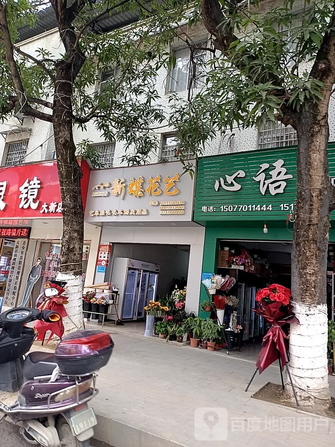 新蝶花艺