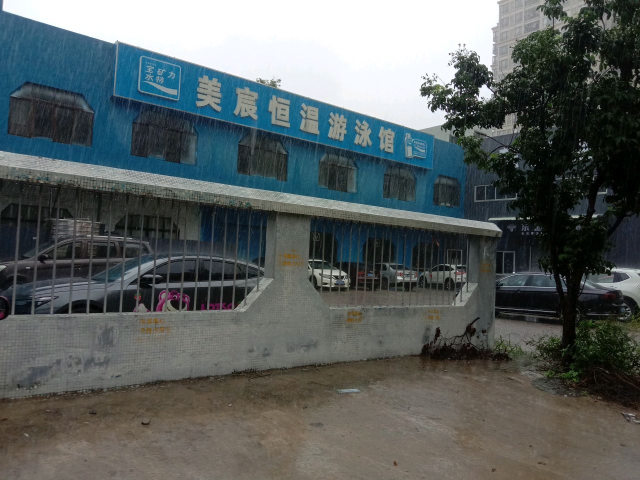 美宸恒温游泳馆(东升店)