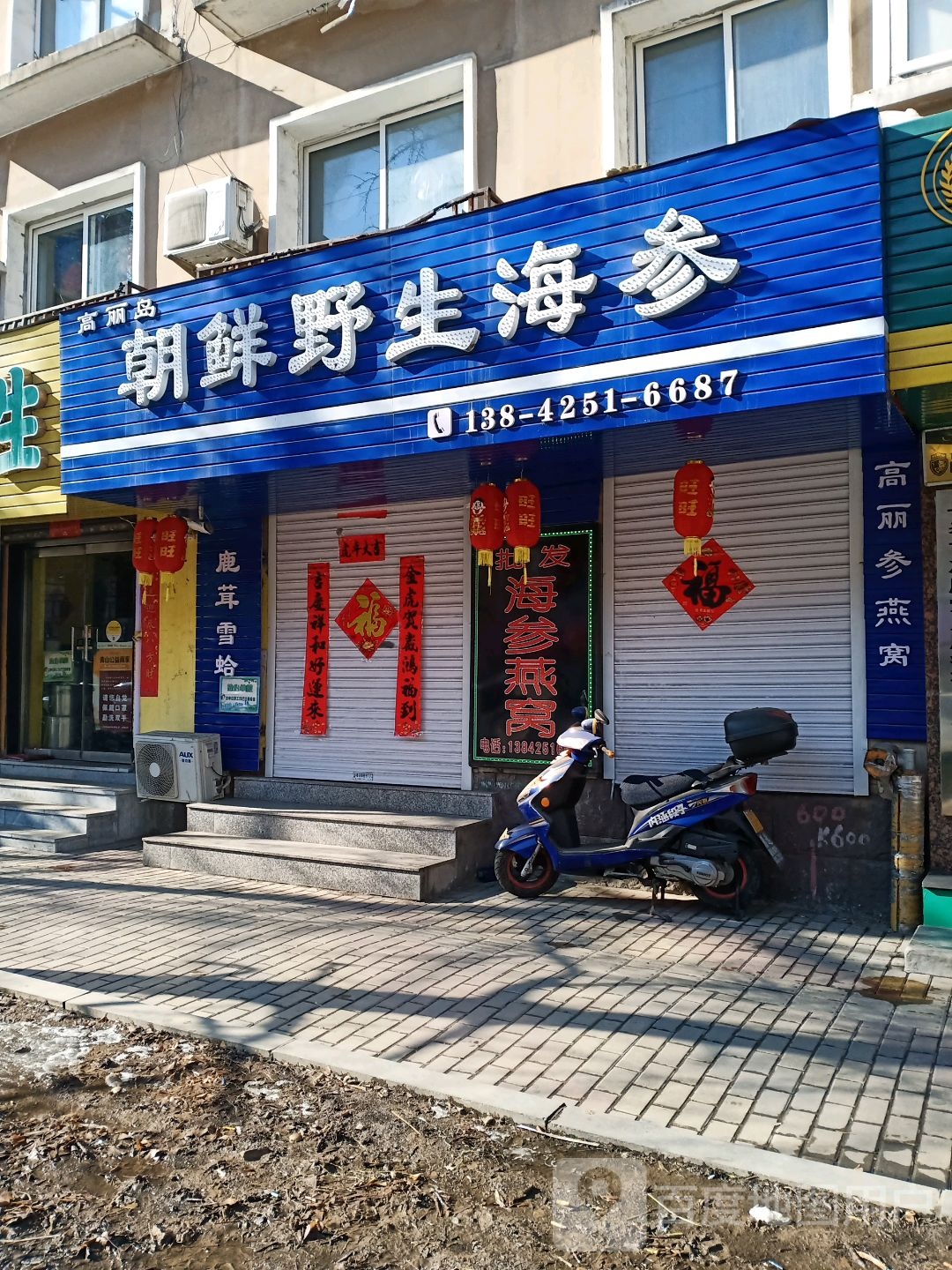 高丽岛朝鲜野生海参