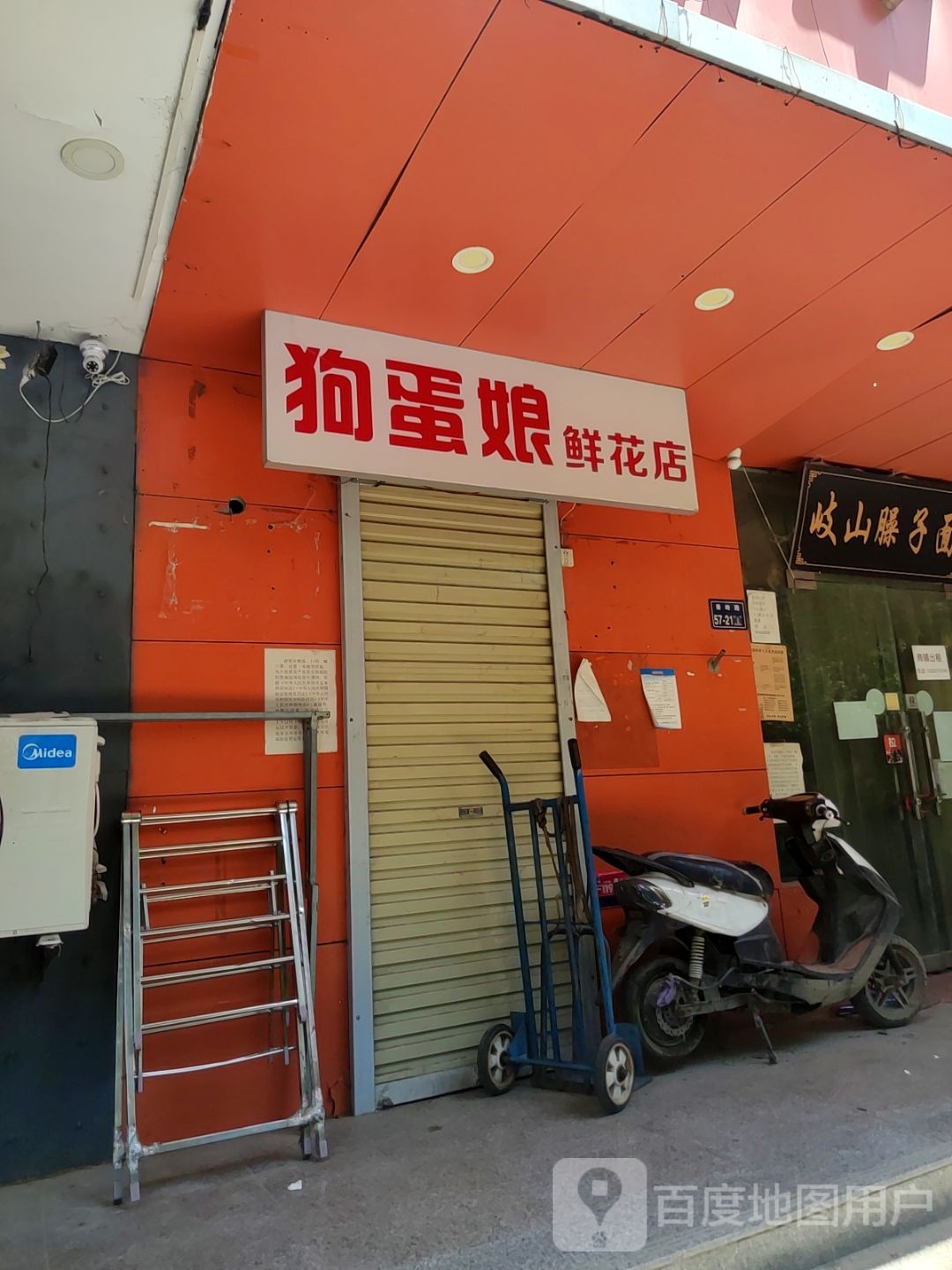 狗蛋娘鲜花店