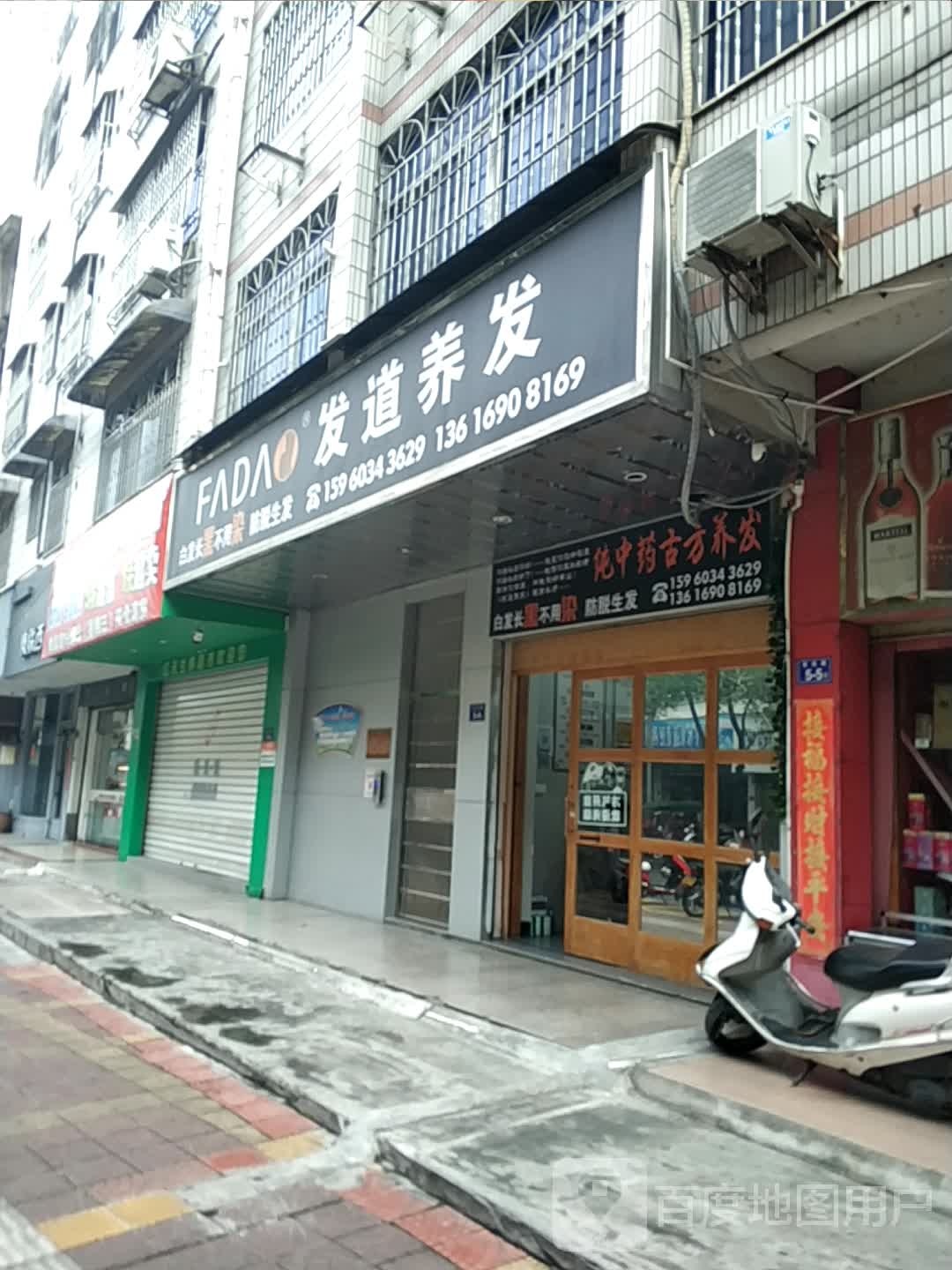 发到养发
