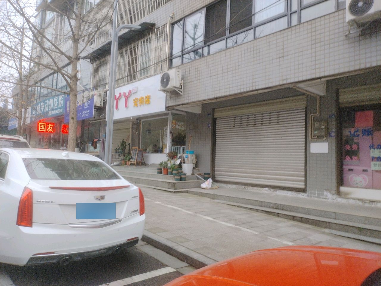 丫丫宠物店(彩虹路店)