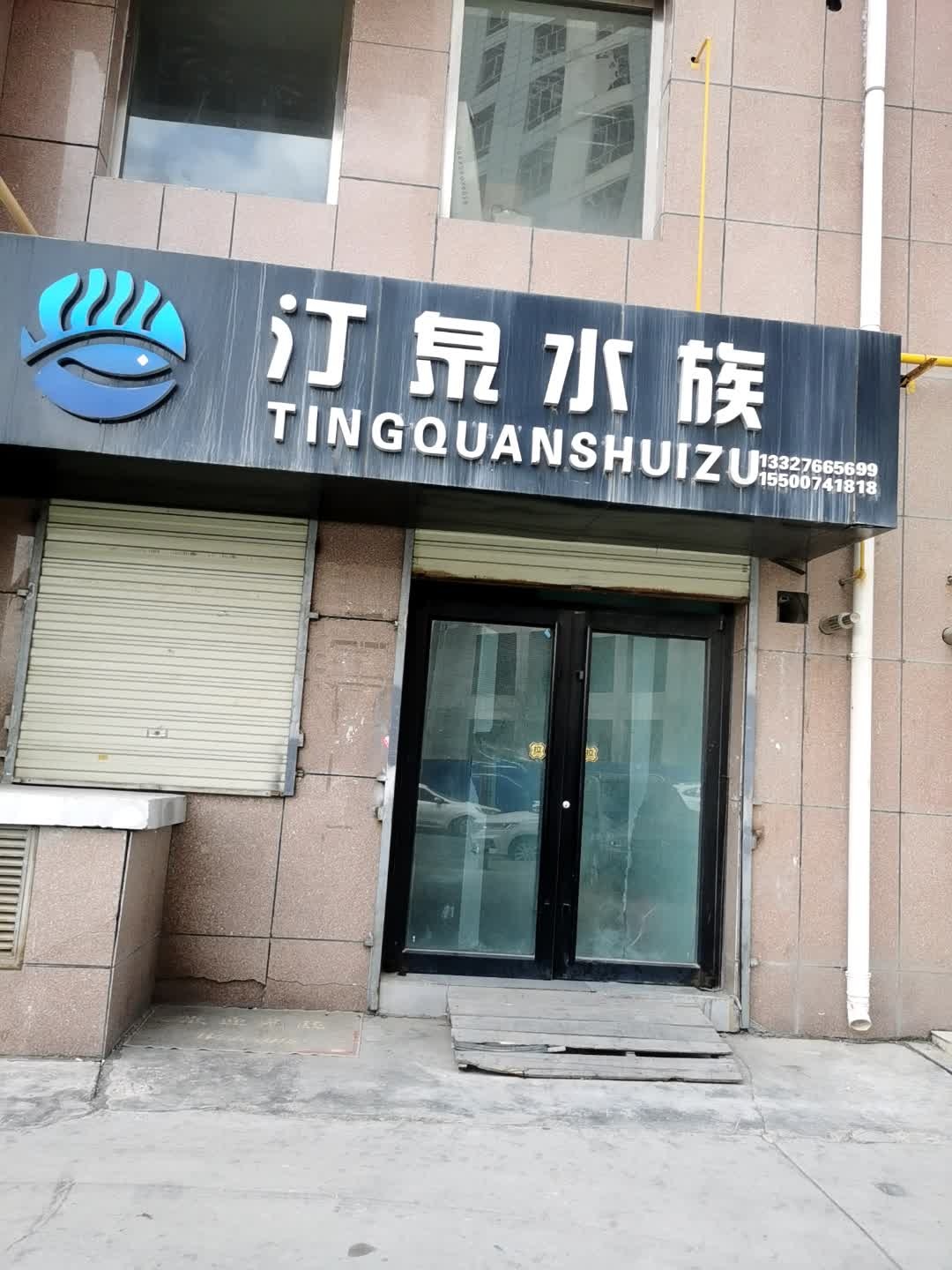 汀泉水族