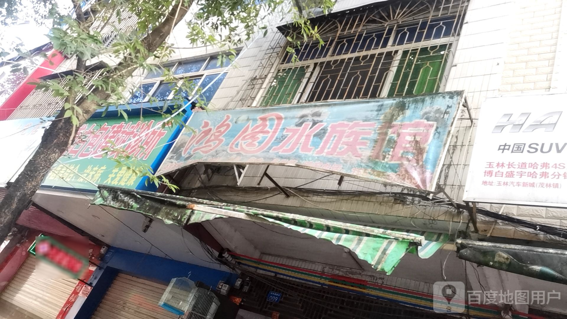 鸿图水族馆