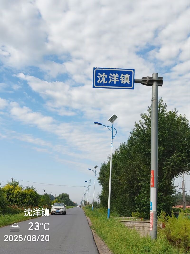 沈洋镇