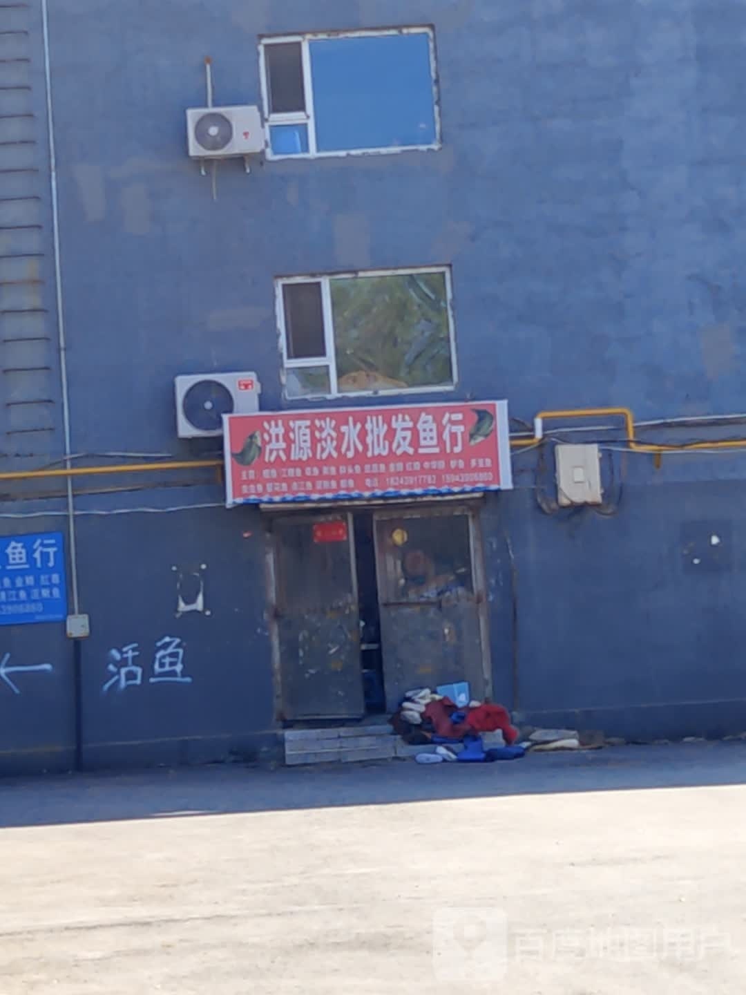 好人来洪源淡水批发鱼行