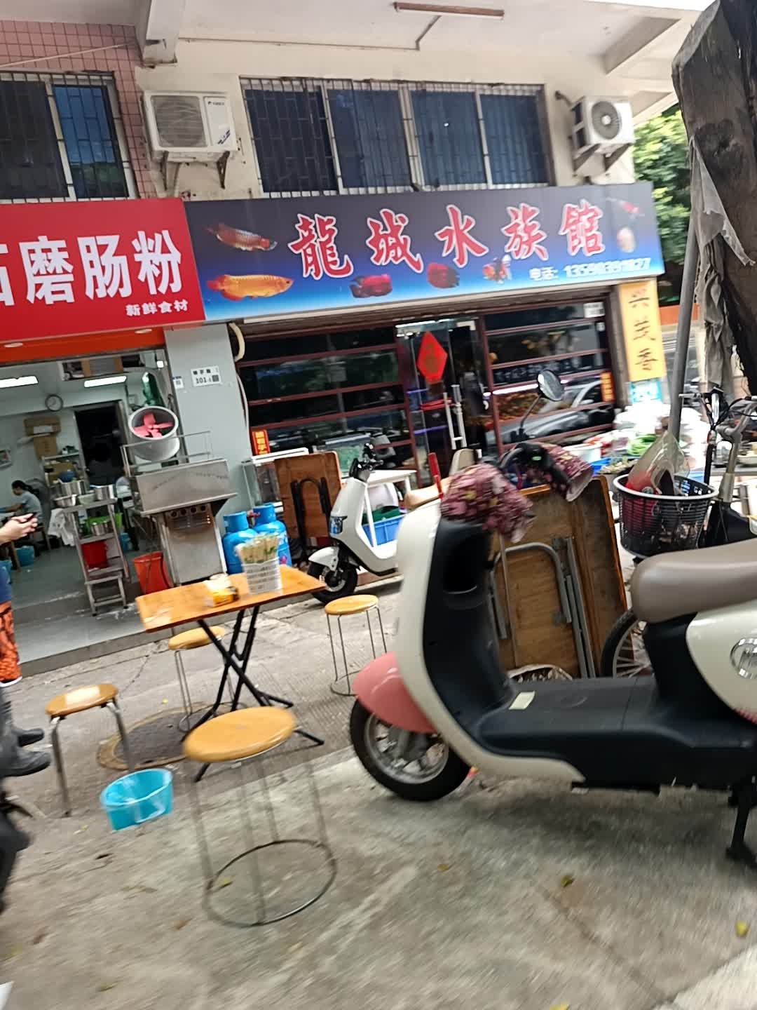 龙城水族馆(福安楼店)