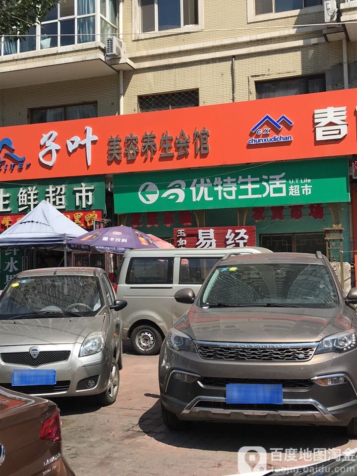 桥首通子叶美容(信恒现代城豪园店)