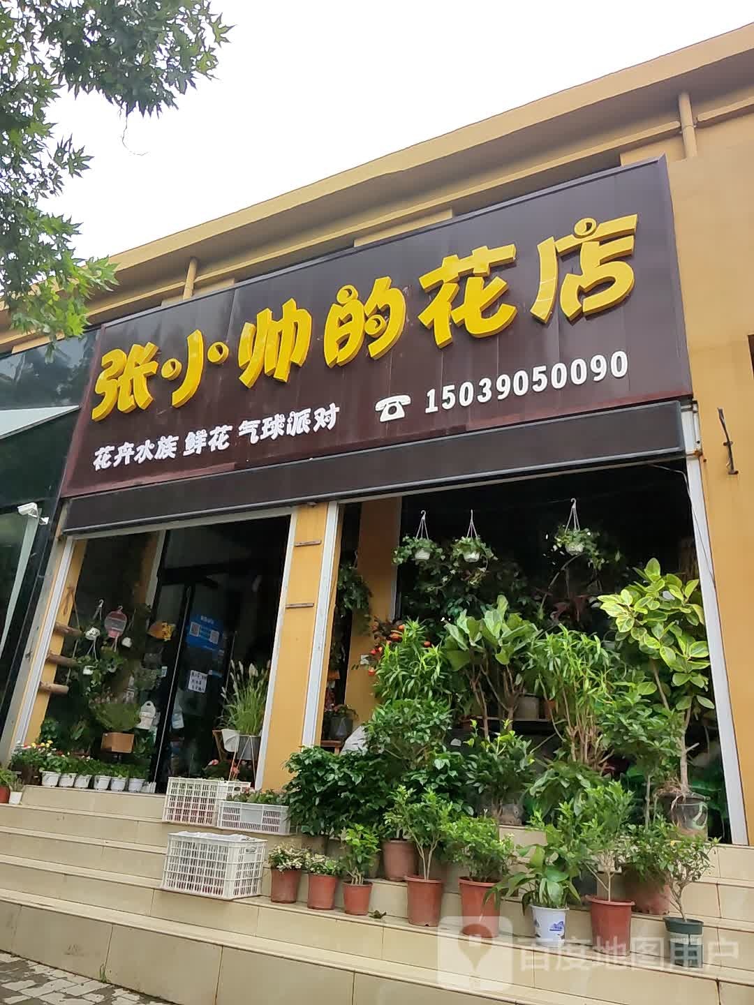 登封市小帅的花店