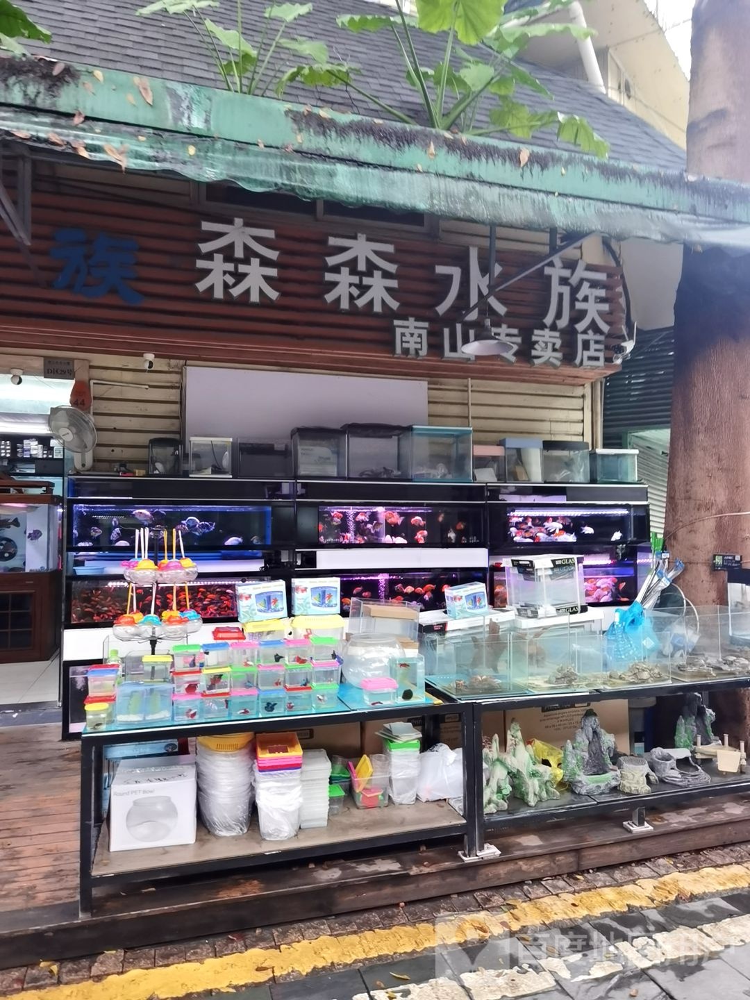 森森水族(宝安大道店)