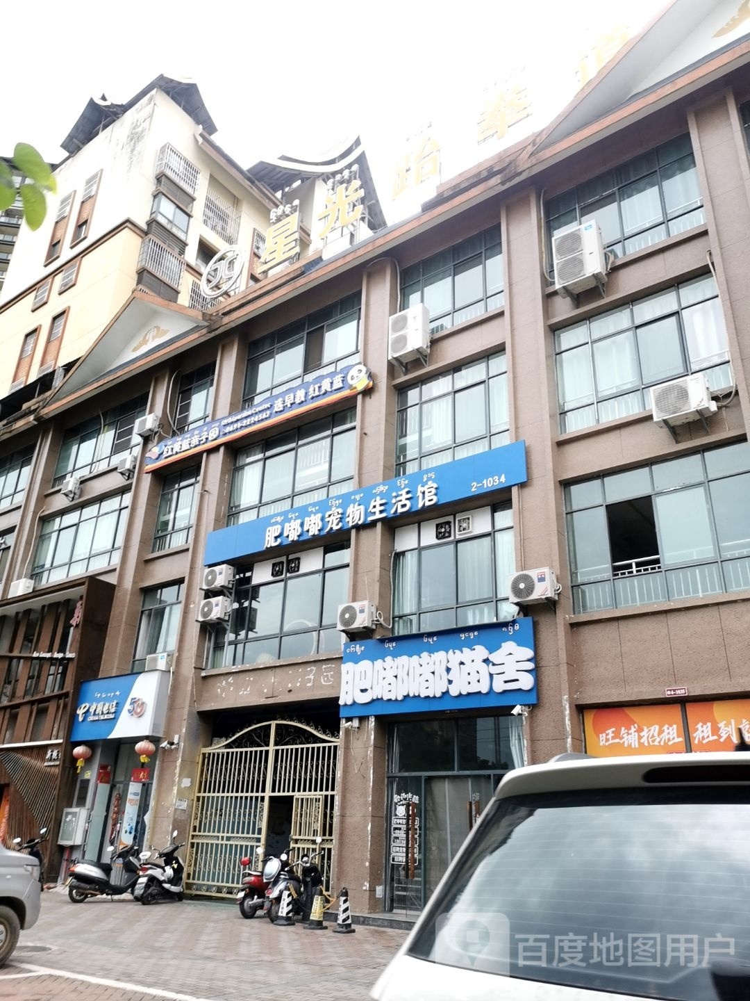 星光跆拳道