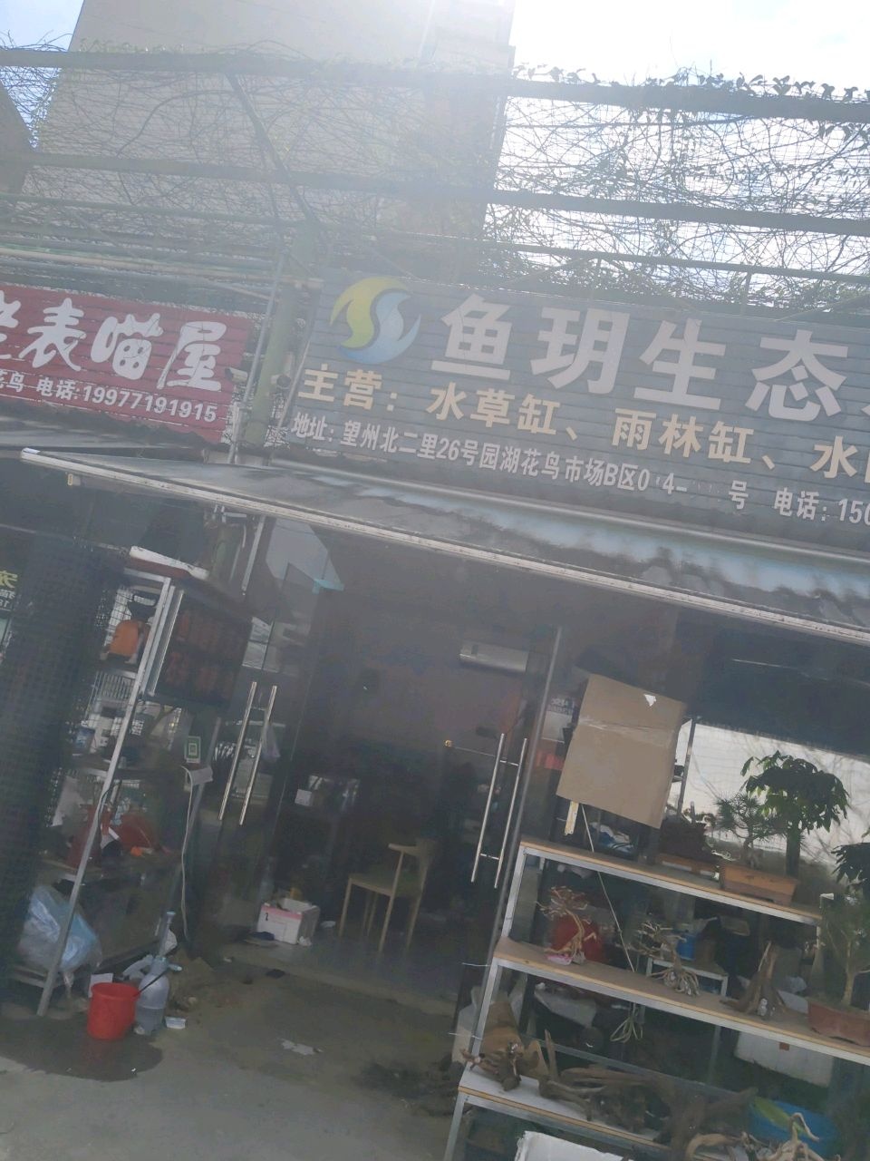 鱼玥生态水景(广西店)