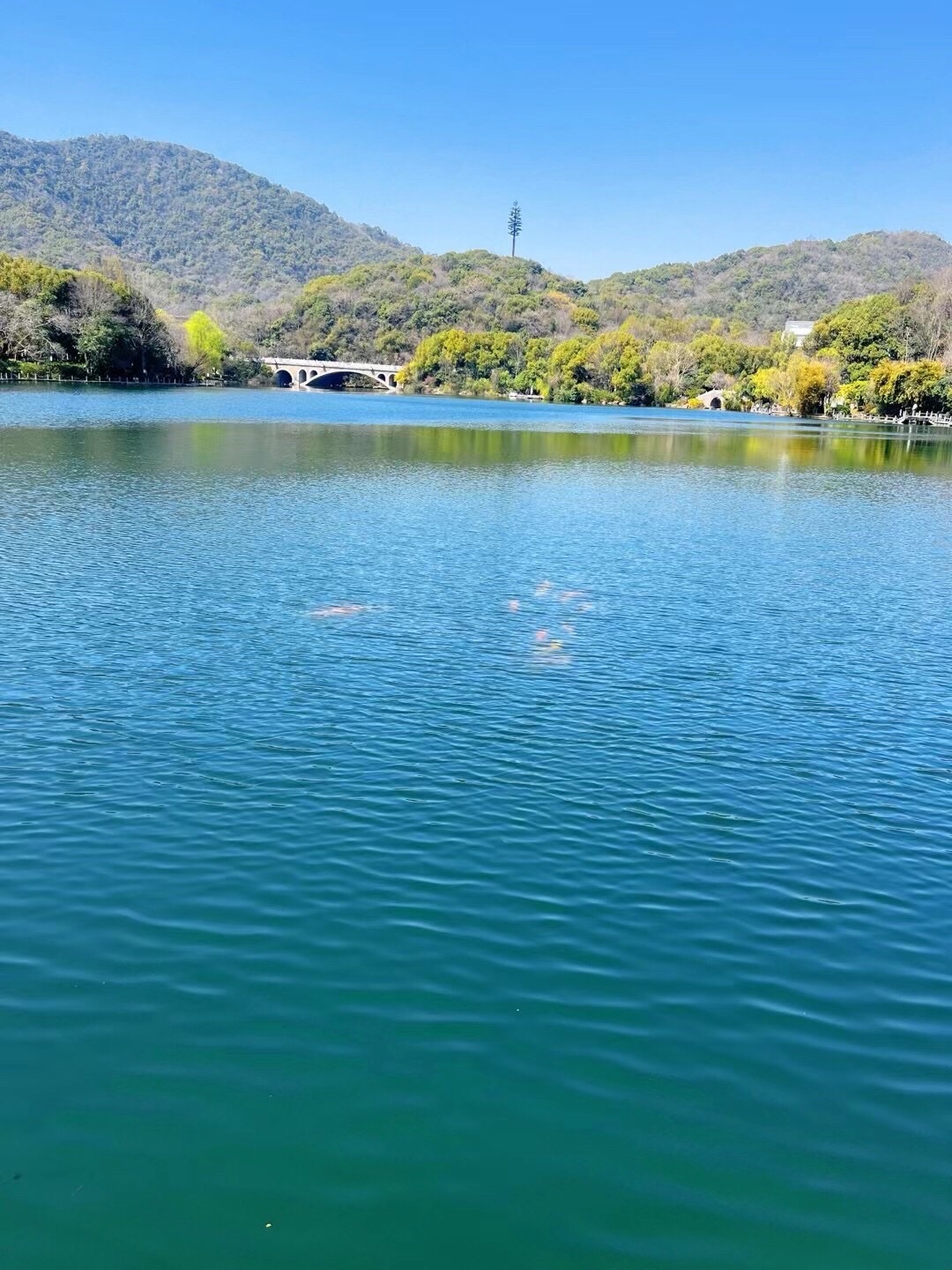 杭州半山国家森林公园