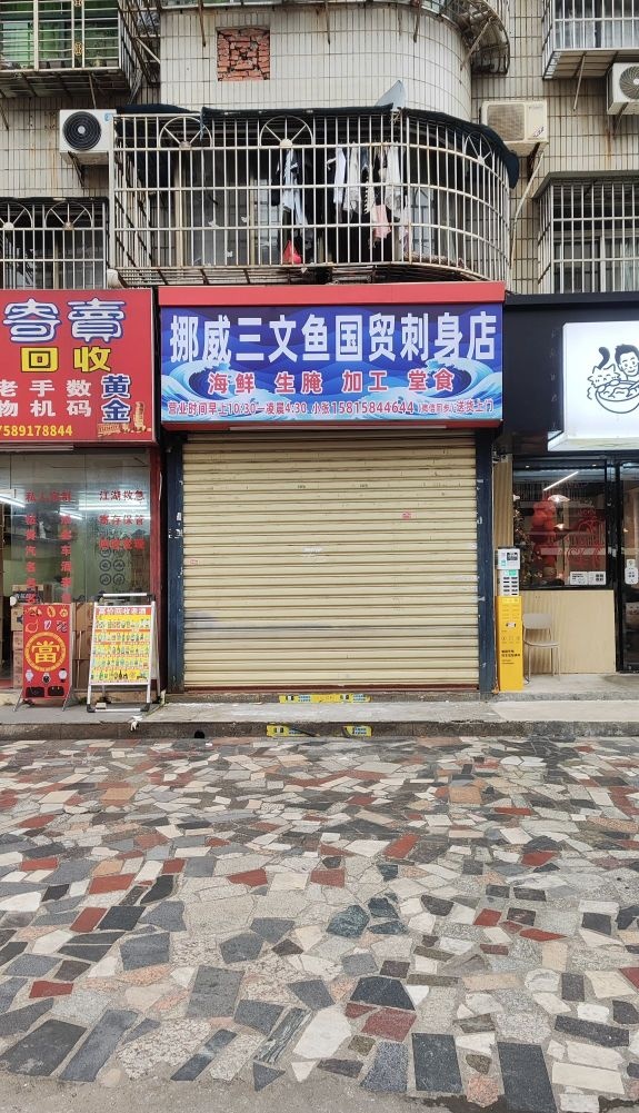 挪威三文鱼国贸刺身店