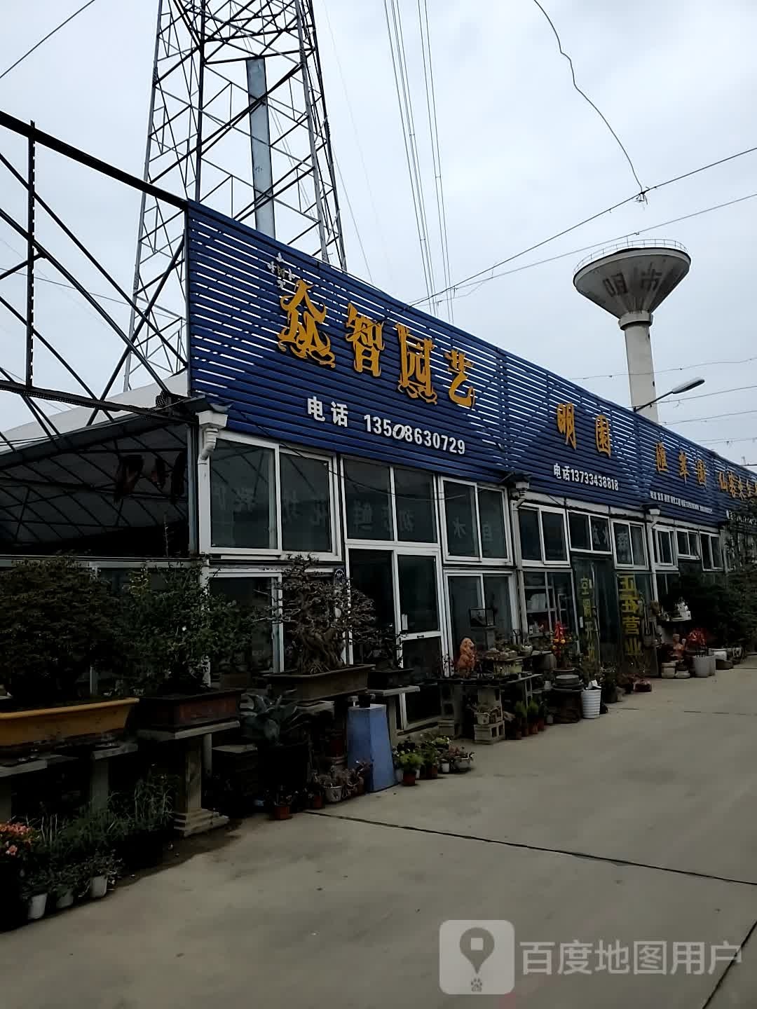 欧阳花卉