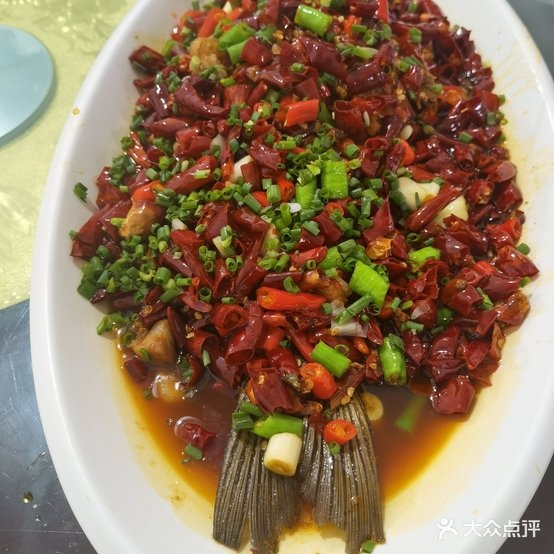 何五姐鲜活鱼管