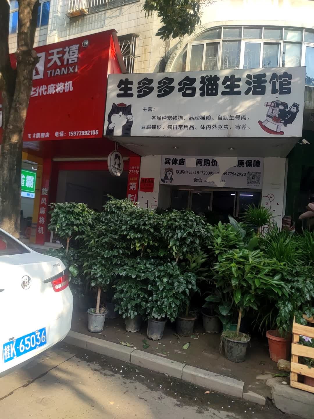 生多多名猫生活馆