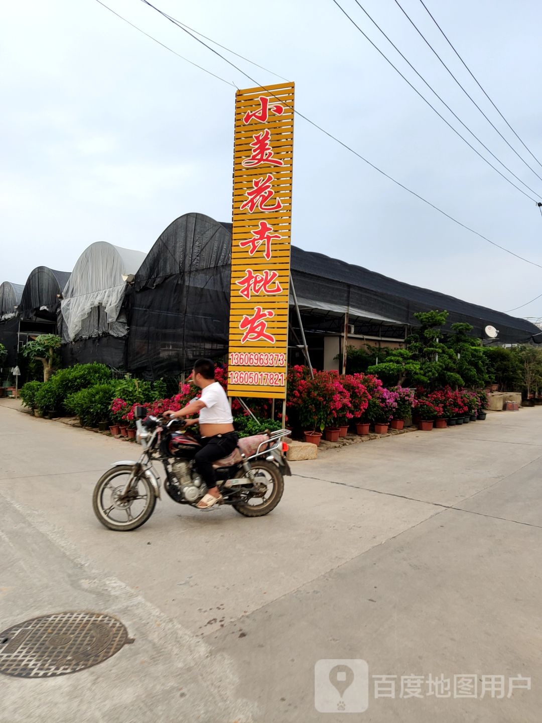小美花卉批发