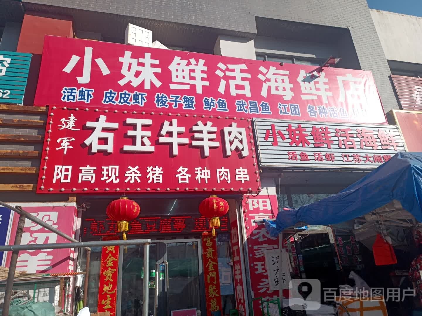 小妹鲜活海鲜