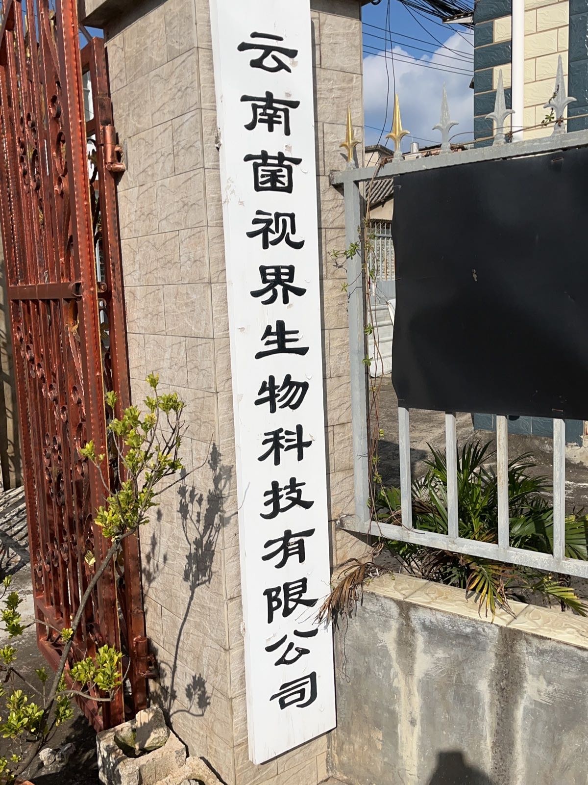 云南菌视界生物科技有限公司