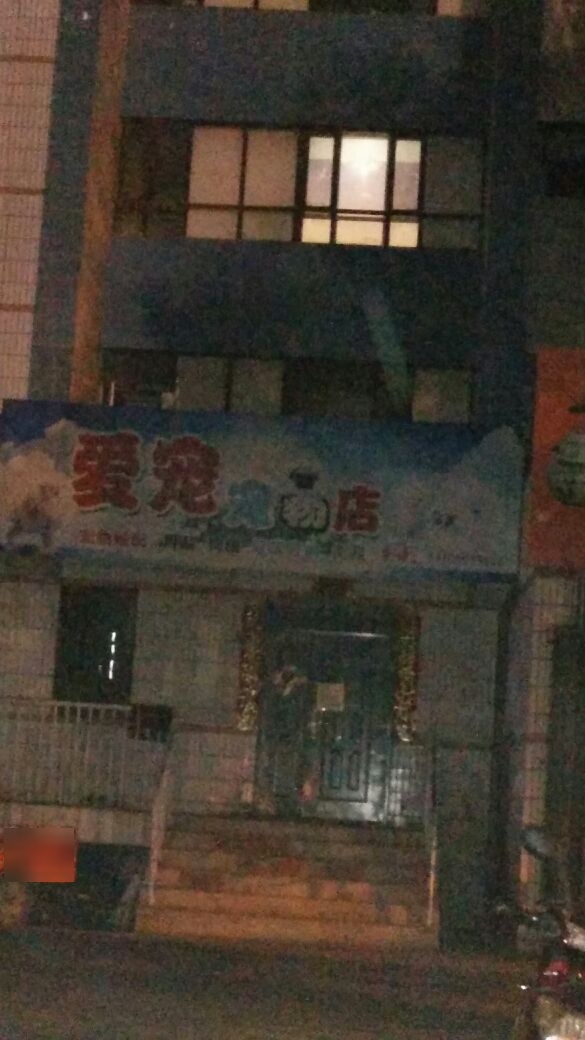 爱宠宠物店(乌鲁木齐东路店)