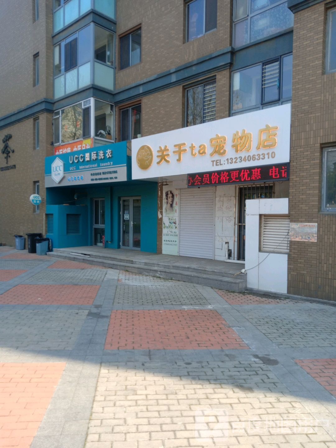 关于ta宠物店