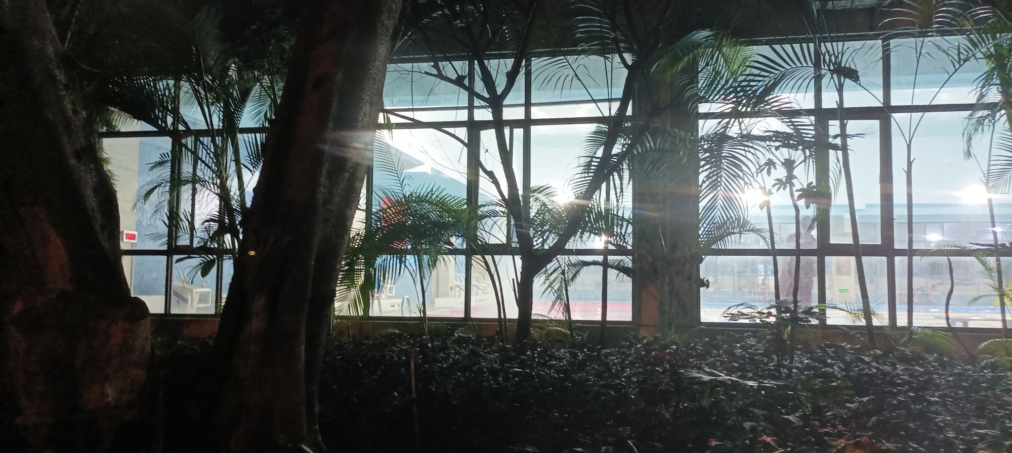 海湾公园游泳池