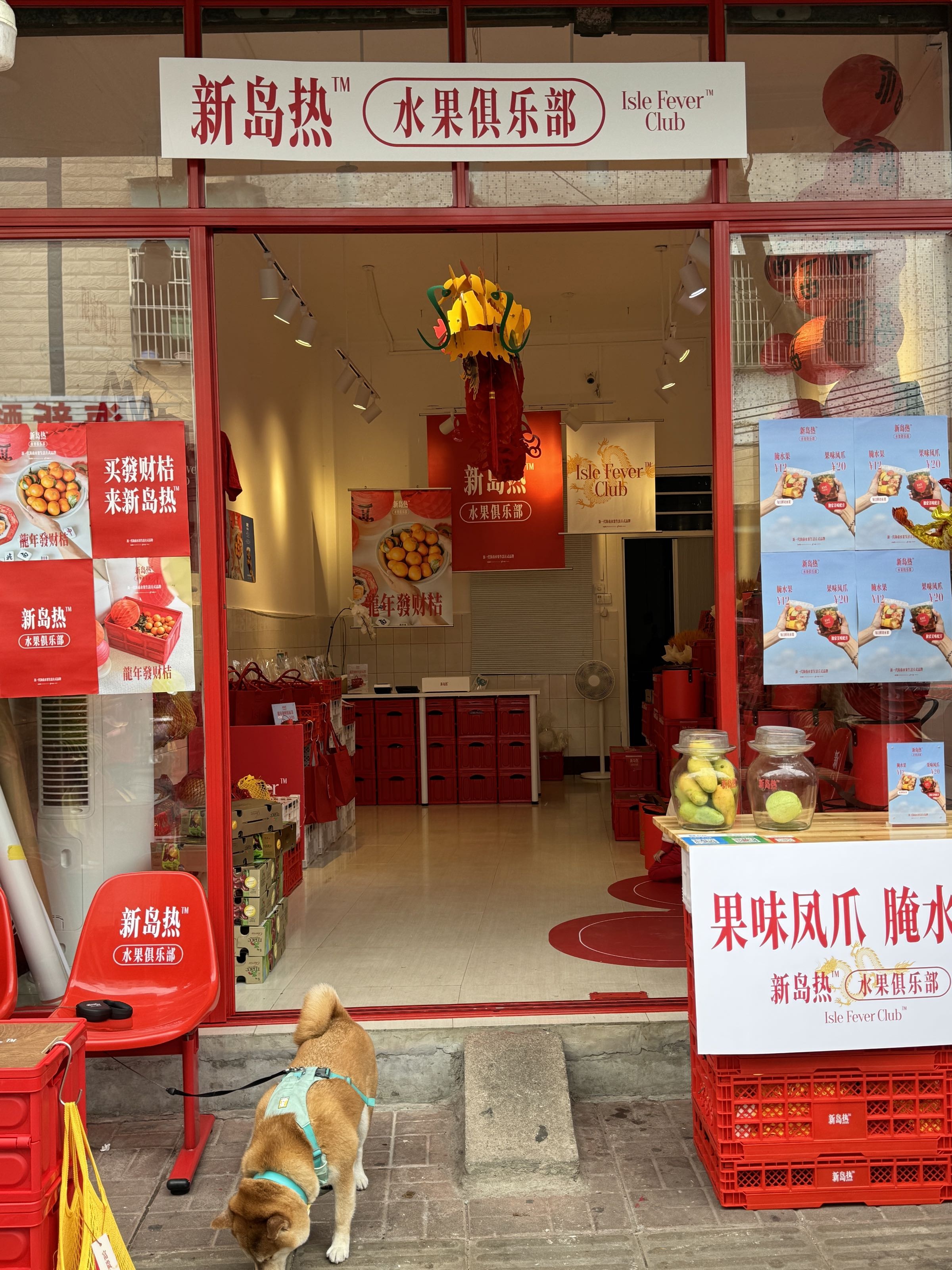 新岛热水果俱乐部
