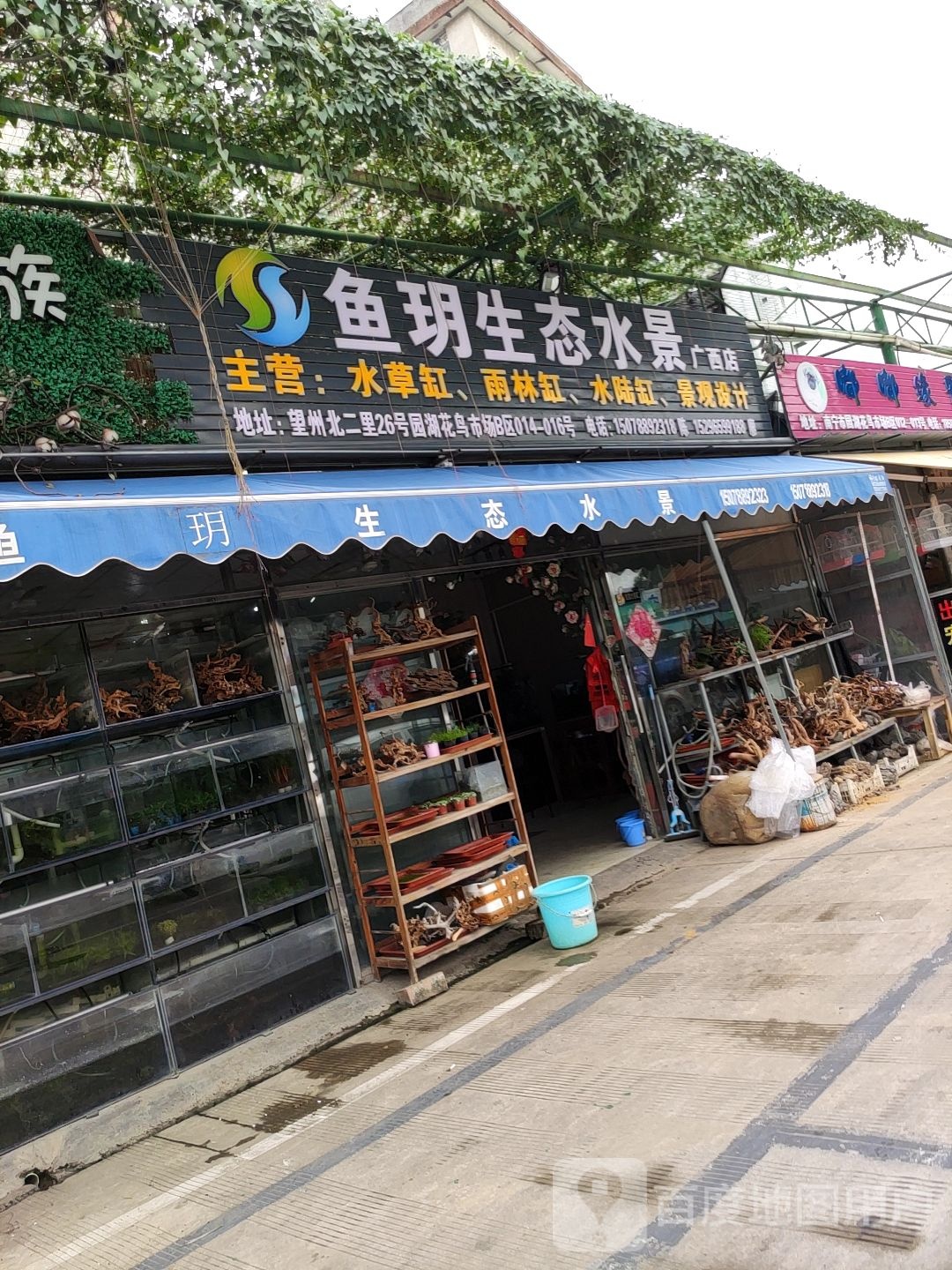 鱼玥生态水景(广西店)