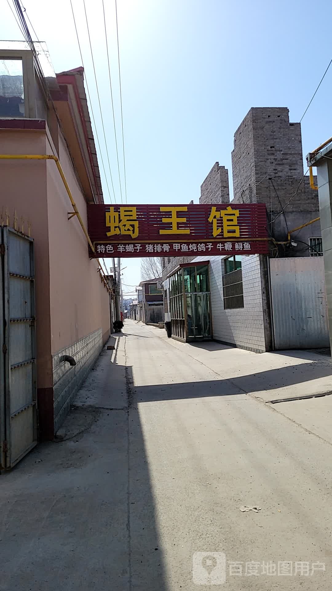 蝎王馆