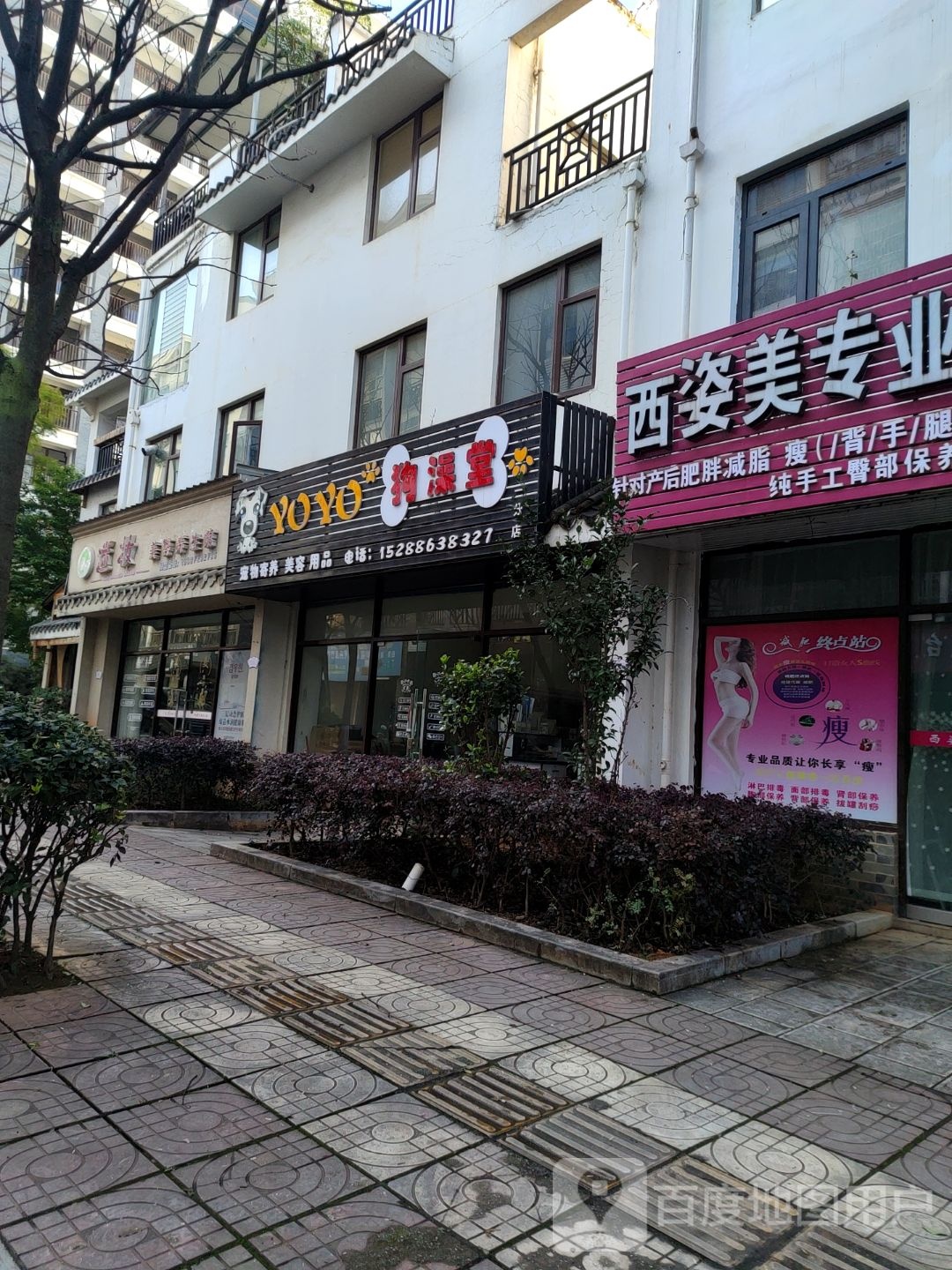 YOYO狗澡堂‘(一分店)