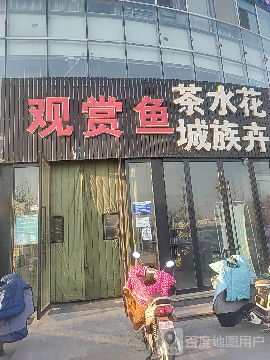 观赏鱼水族花卉(乐晟广场店)