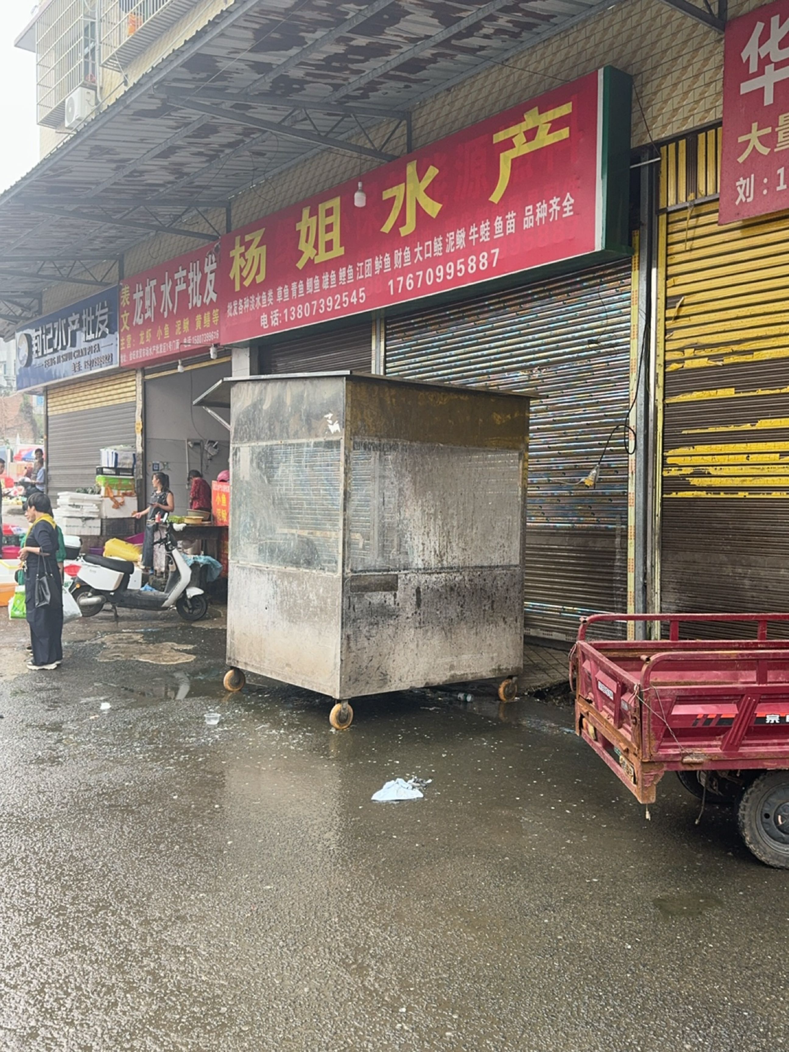 杨姐水产批发