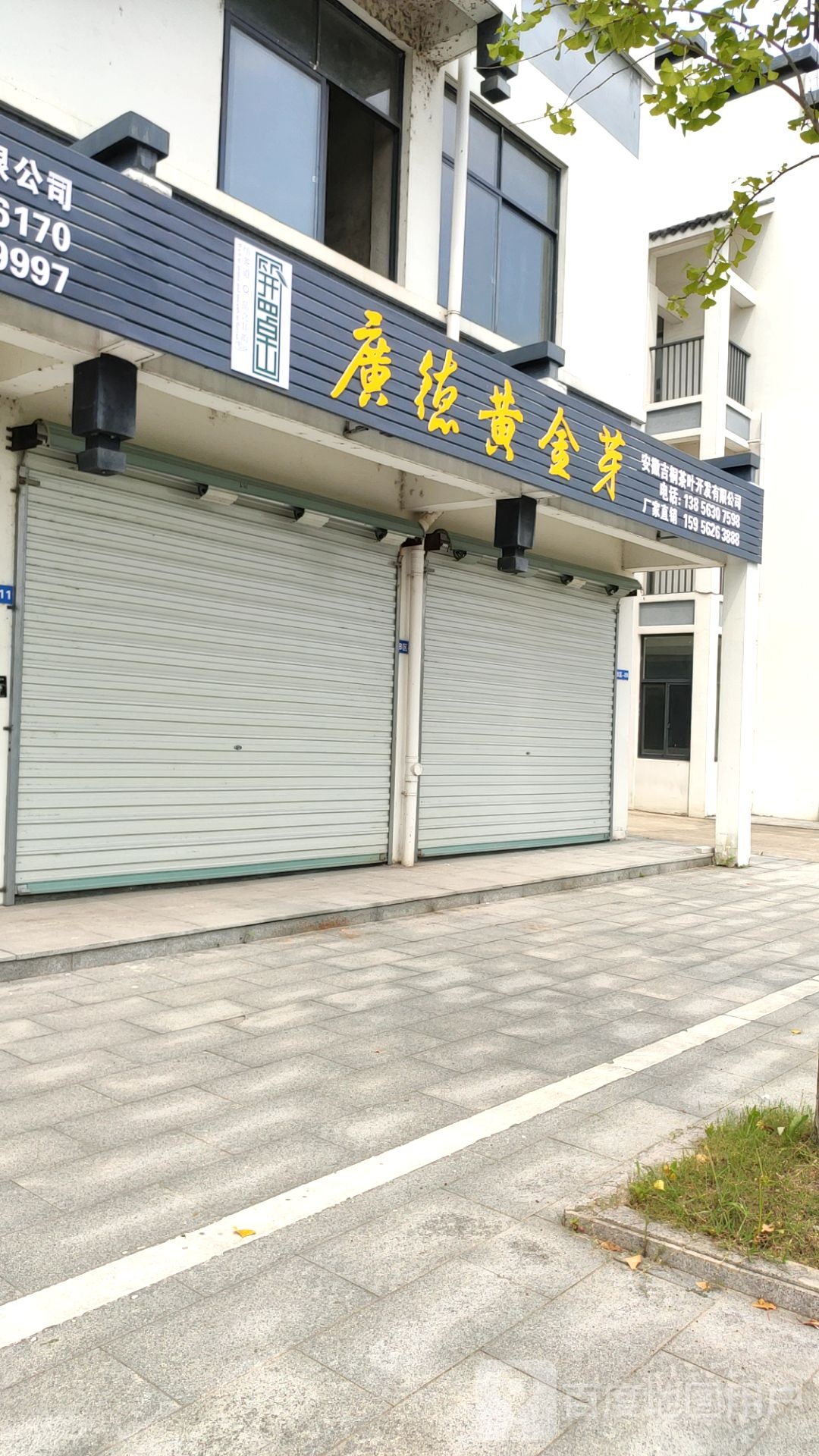 广德黄金芽交易市厂(茶叶市场)