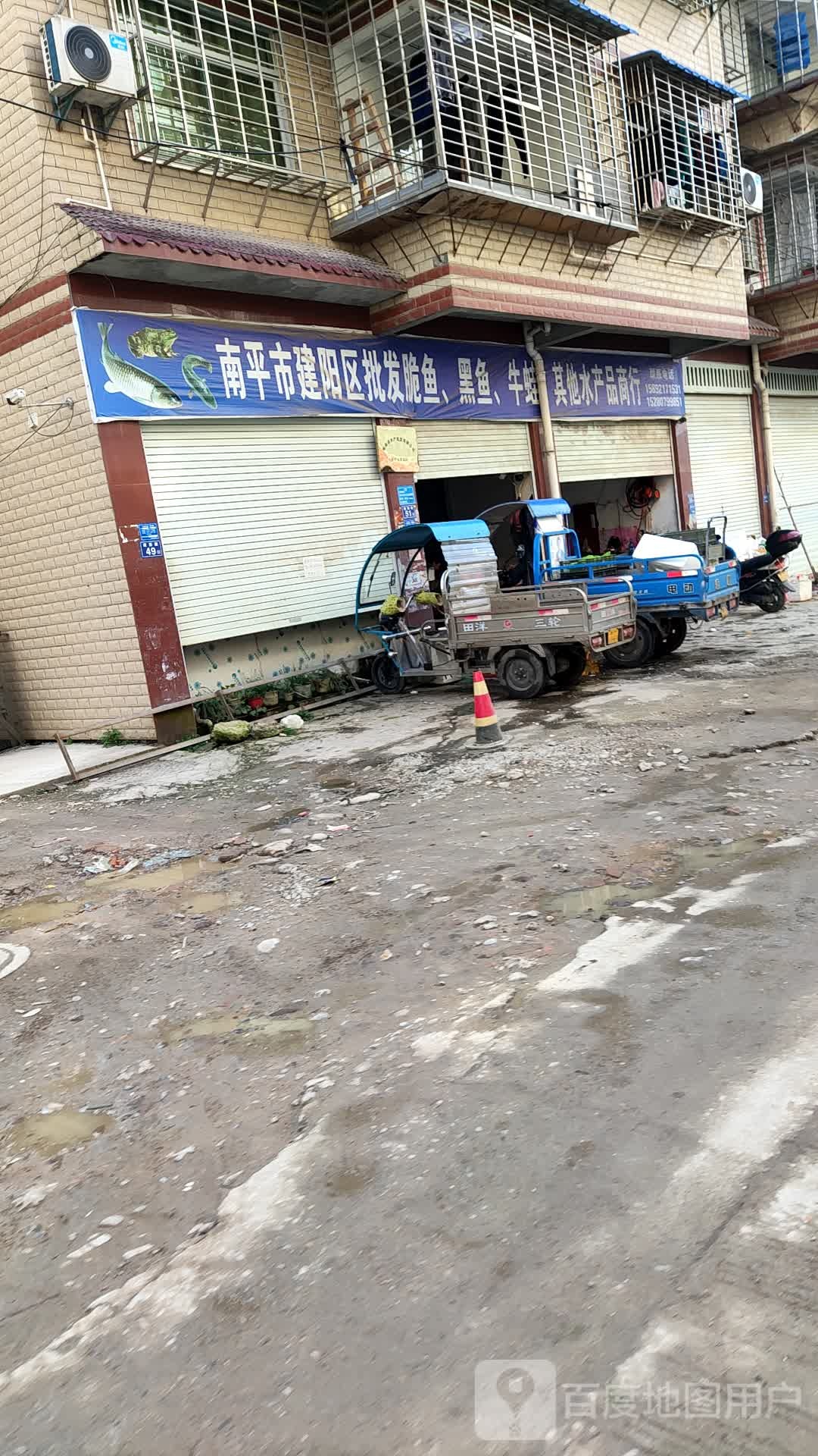 南平市建杨区批发脆鱼,黑鱼