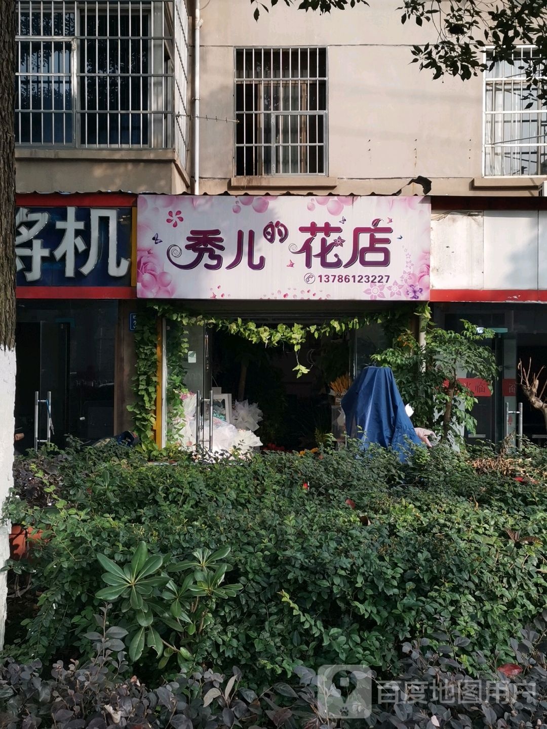 秀儿家花店