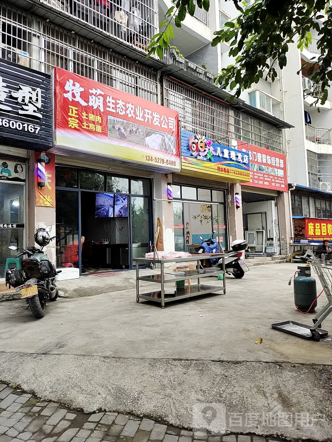 向日葵。儿童理发店