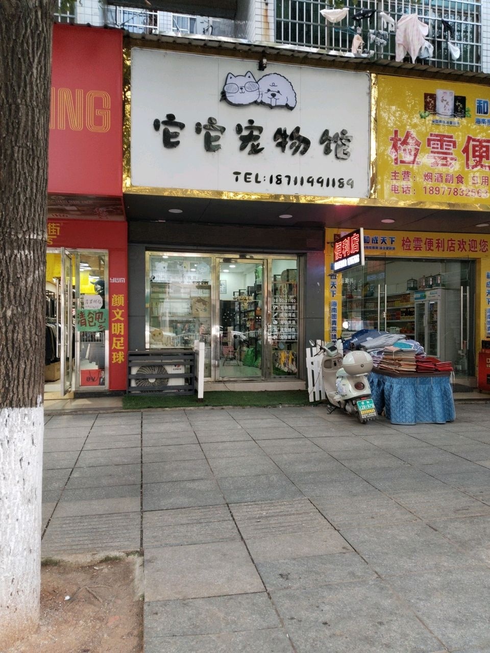 它它宠物馆