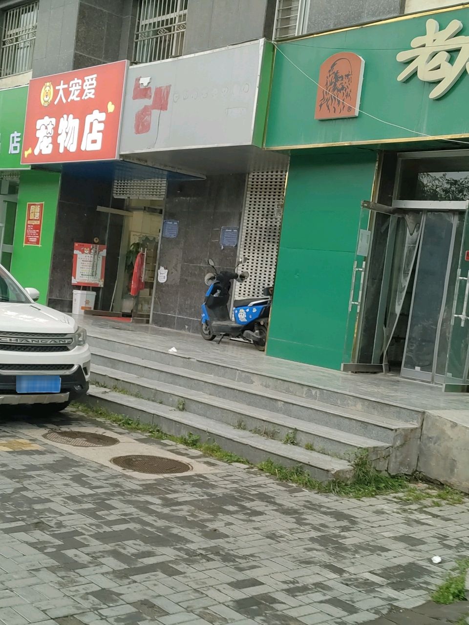 大宠爱宠物店