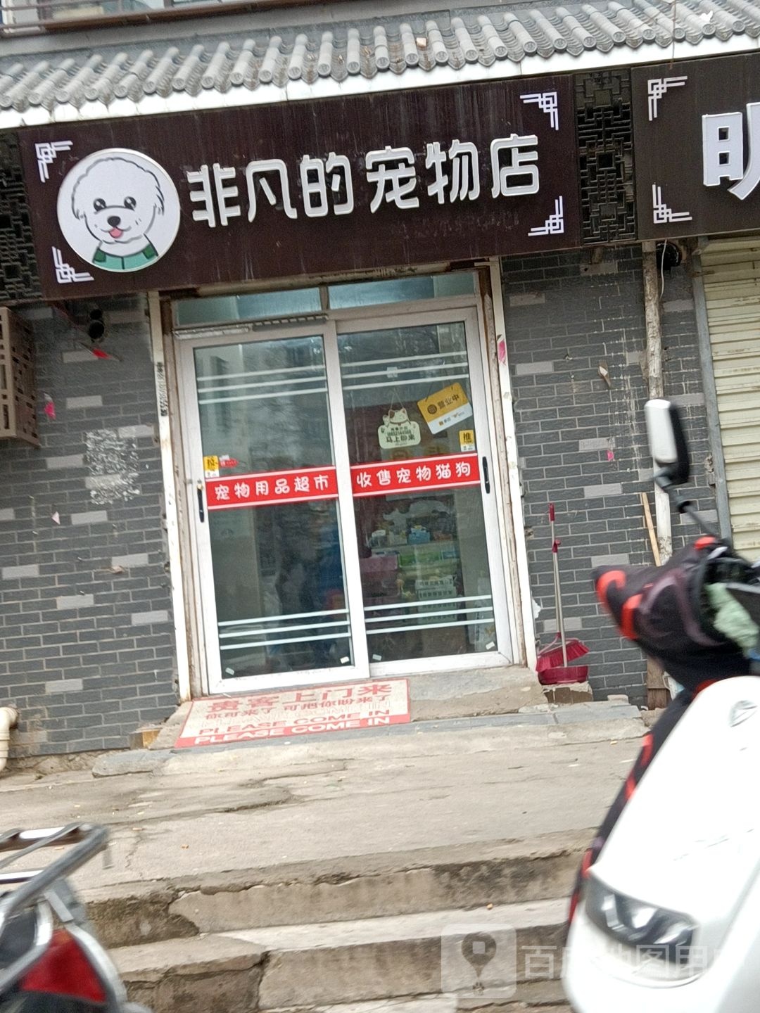 非凡的宠物店