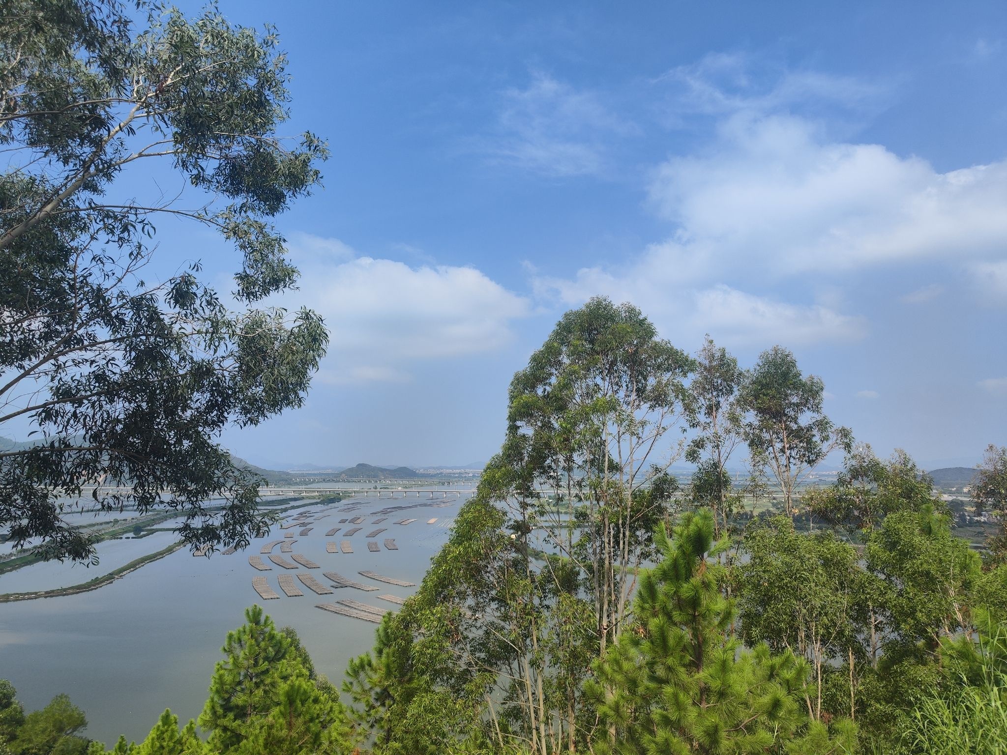 大德妈祖庙旅游区