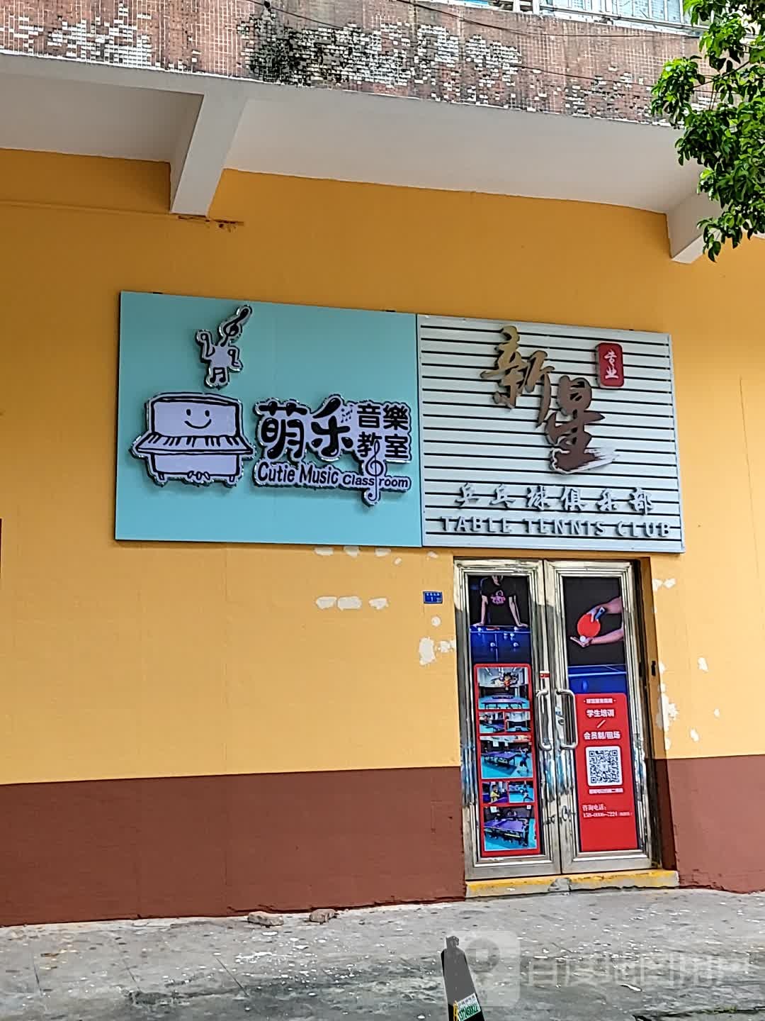 新星乒乓球俱乐部