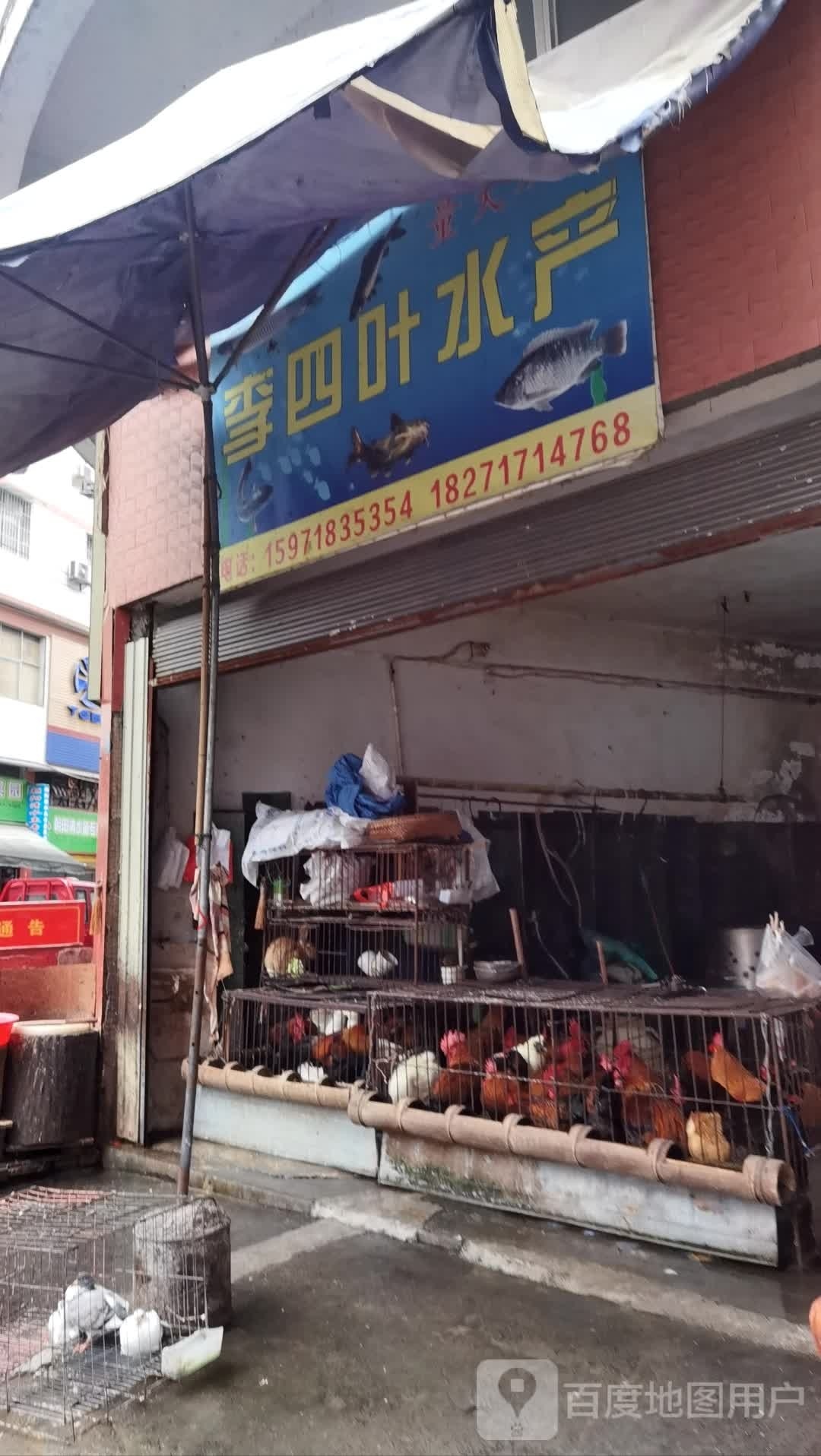 李叶四水产