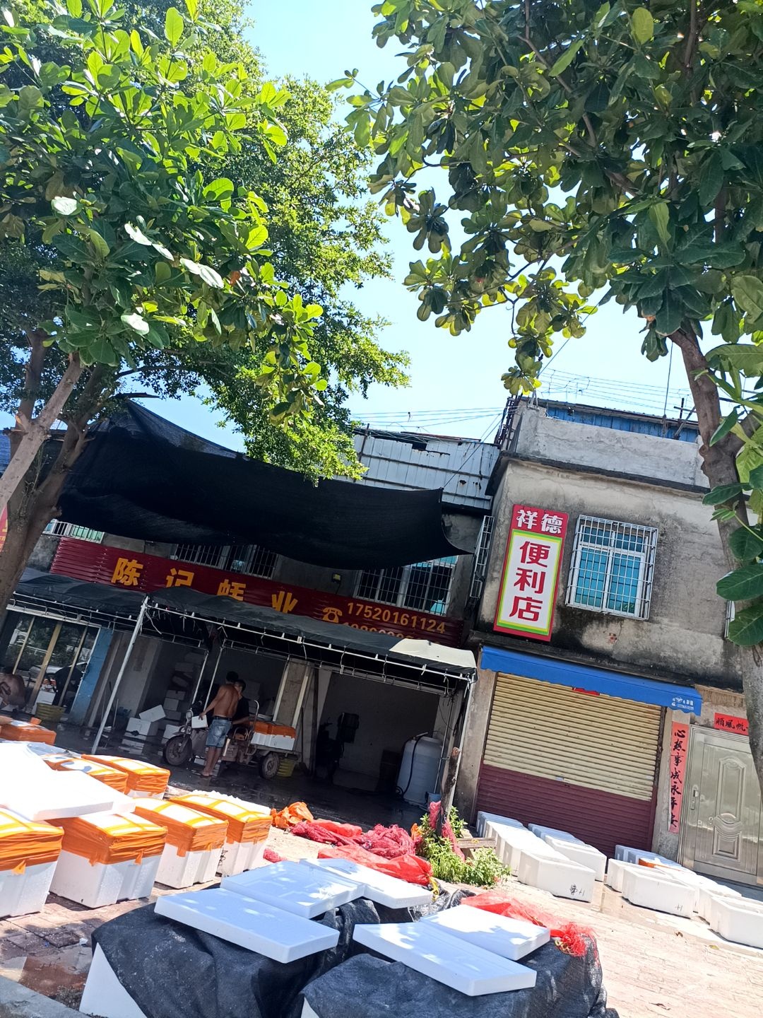 陈记蚝业
