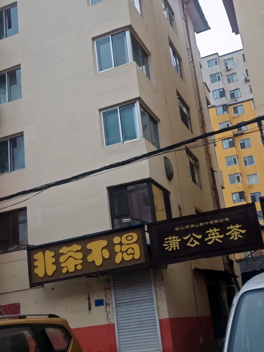蒲公英茶