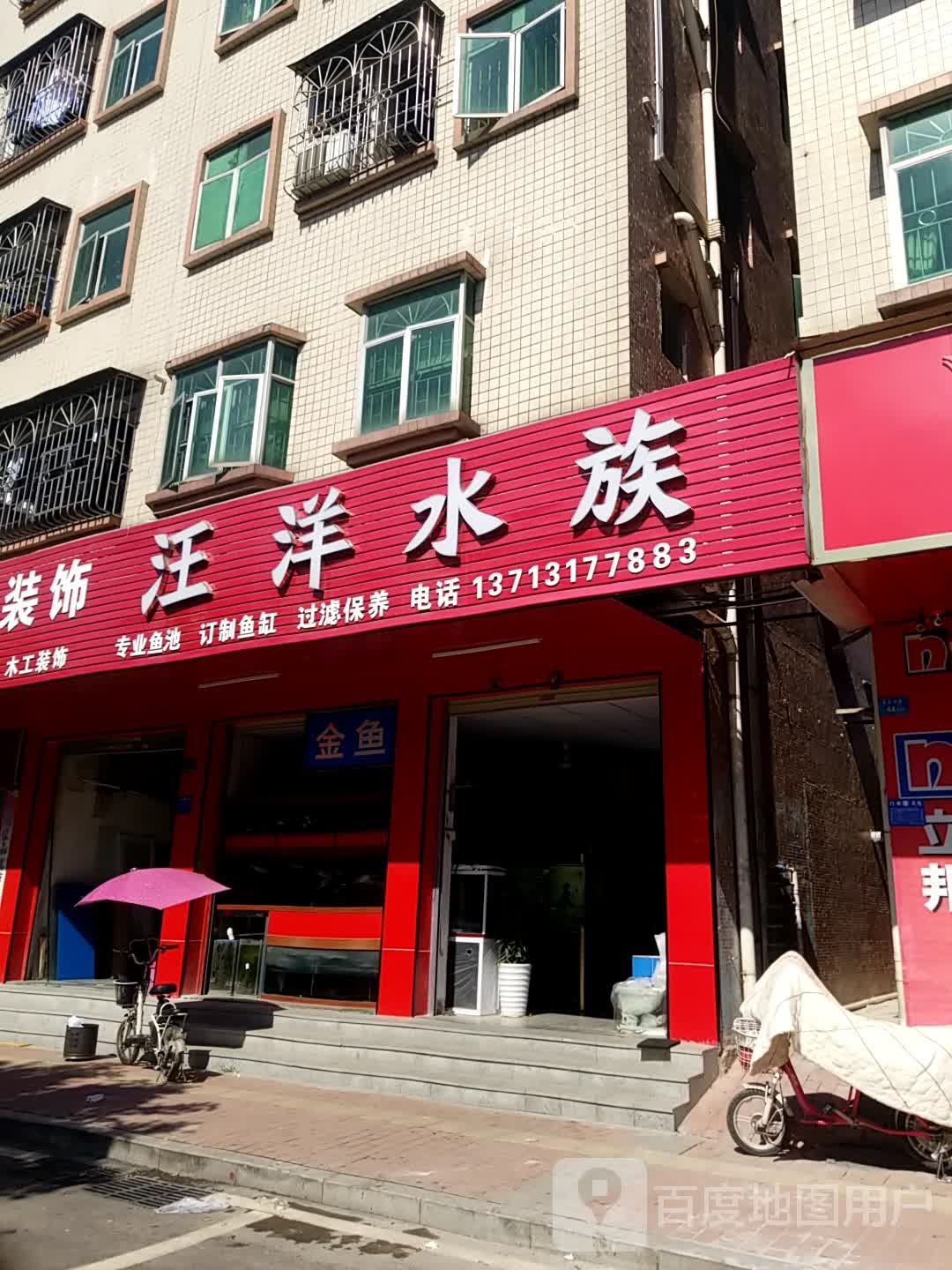 汪洋水族(塘厦店)