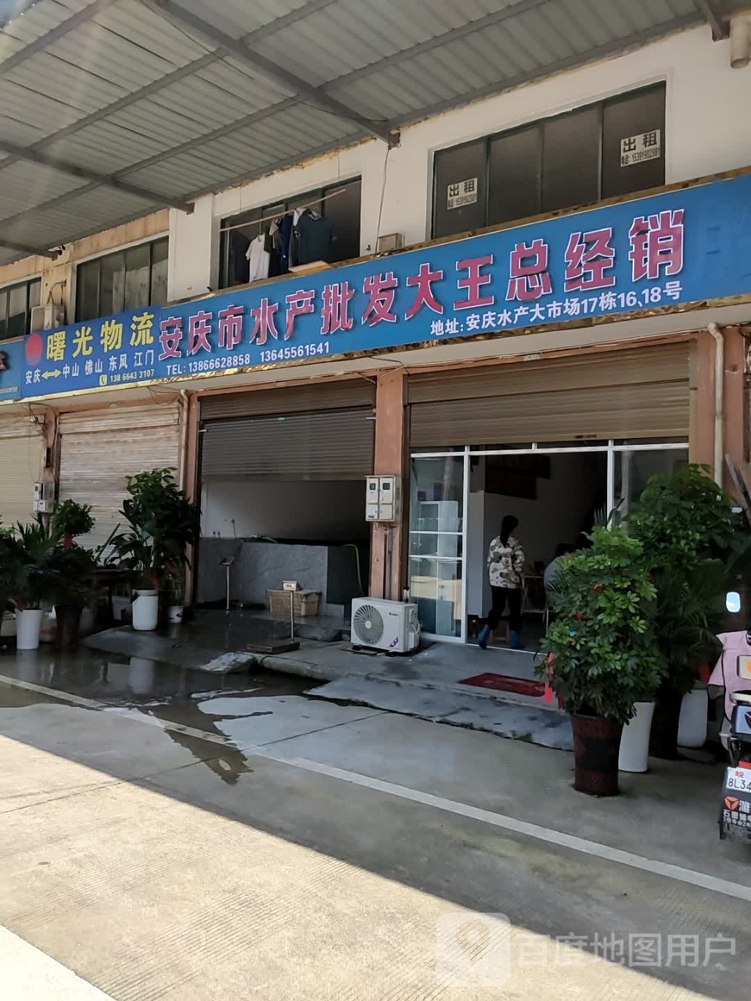 安庆市水产批发大王总经销