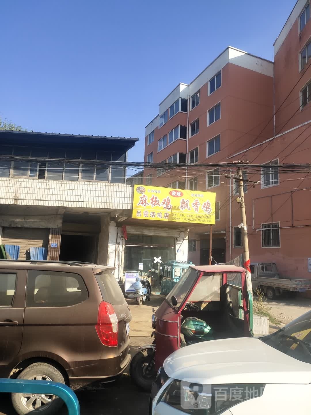 沈丘县吕霞活鸡店