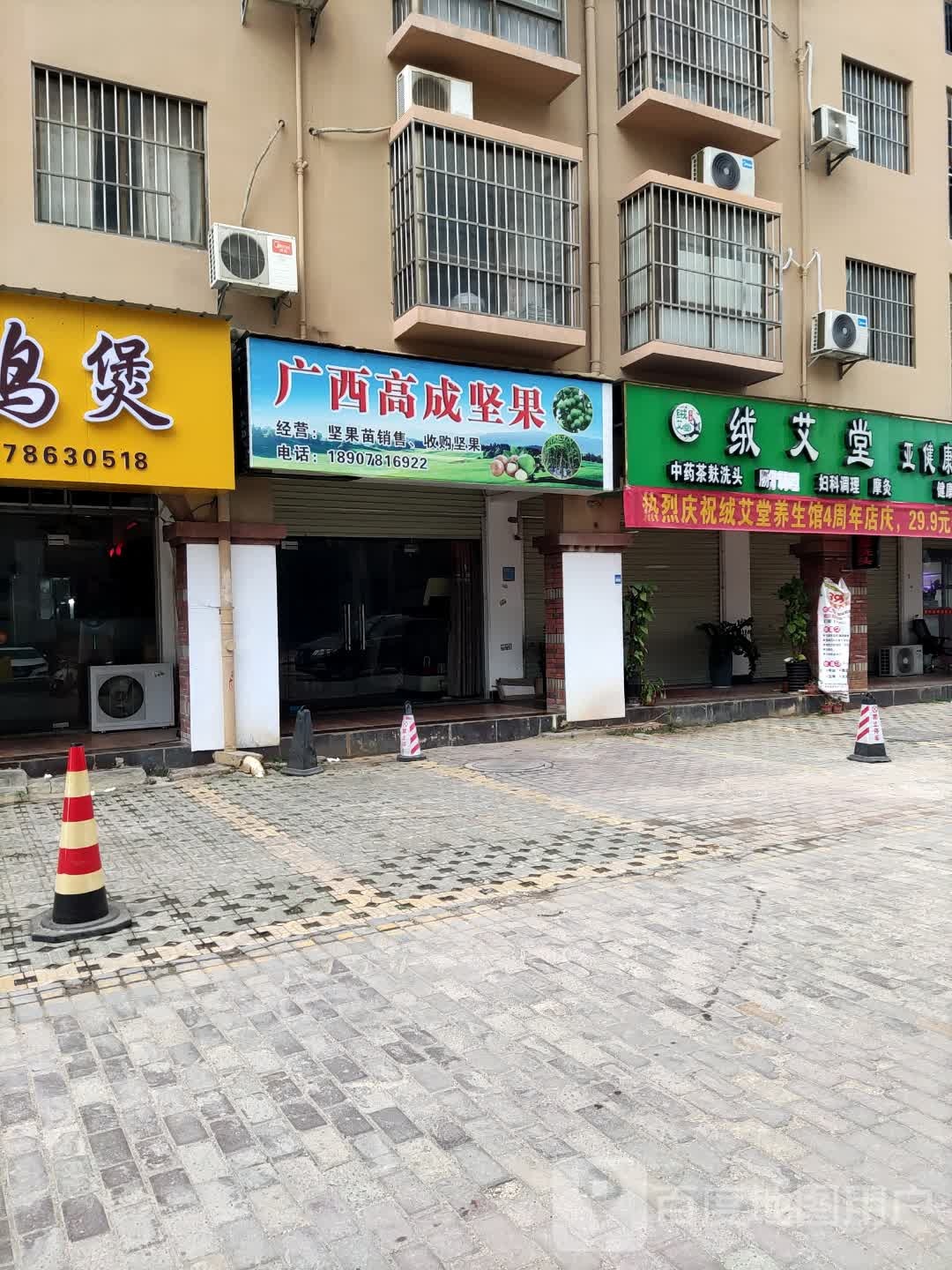 广西高成坚果