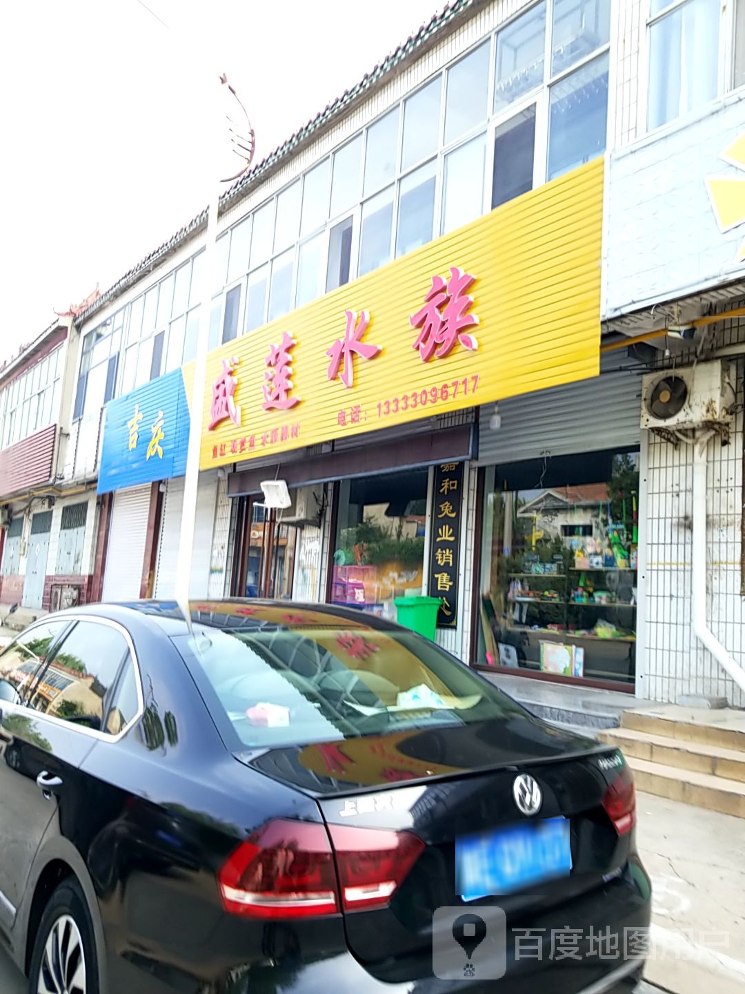 盛莲水族